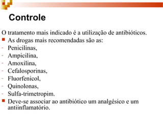 Controle
O tratamento mais indicado é a utilização de antibióticos.
 As drogas mais recomendadas são as:
- Penicilinas,
- Ampicilina,
- Amoxilina,
- Cefalosporinas,
- Fluorfenicol,
- Quinolonas,
- Sulfa-trimetropim.
 Deve-se associar ao antibiótico um analgésico e um
antiinflamatório.
 