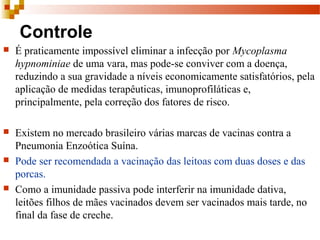 Controle
 É praticamente impossível eliminar a infecção por Mycoplasma
hypnominiae de uma vara, mas pode-se conviver com a doença,
reduzindo a sua gravidade a níveis economicamente satisfatórios, pela
aplicação de medidas terapêuticas, imunoprofiláticas e,
principalmente, pela correção dos fatores de risco.
 Existem no mercado brasileiro várias marcas de vacinas contra a
Pneumonia Enzoótica Suína.
 Pode ser recomendada a vacinação das leitoas com duas doses e das
porcas.
 Como a imunidade passiva pode interferir na imunidade dativa,
leitões filhos de mães vacinados devem ser vacinados mais tarde, no
final da fase de creche.
 