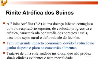 Rinite Atrófica dos Suínos
 A Rinite Atrófica (RA) é uma doença infecto-contagiosa
do trato respiratório superior, de evolução progressiva e
crônica, caracterizada por atrofia dos cornetos nasais,
desvio do septo nasal e deformidade do focinho.
 Tem um grande impacto econômico, devido à redução no
ganho de peso e piora na conversão alimentar.
 Trata-se de uma enfermidade insidiosa, que não produz
sinais clínicos evidentes e nem mortalidade.
 