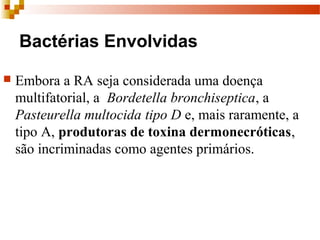 Bactérias Envolvidas
 Embora a RA seja considerada uma doença
multifatorial, a Bordetella bronchiseptica, a
Pasteurella multocida tipo D e, mais raramente, a
tipo A, produtoras de toxina dermonecróticas,
são incriminadas como agentes primários.
 