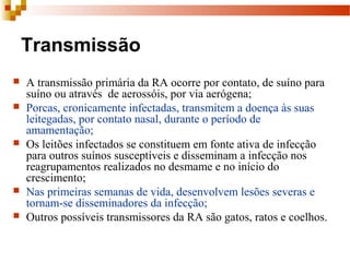Transmissão
 A transmissão primária da RA ocorre por contato, de suíno para
suíno ou através de aerossóis, por via aerógena;
 Porcas, cronicamente infectadas, transmitem a doença às suas
leitegadas, por contato nasal, durante o período de
amamentação;
 Os leitões infectados se constituem em fonte ativa de infecção
para outros suínos susceptíveis e disseminam a infecção nos
reagrupamentos realizados no desmame e no início do
crescimento;
 Nas primeiras semanas de vida, desenvolvem lesões severas e
tornam-se disseminadores da infecção;
 Outros possíveis transmissores da RA são gatos, ratos e coelhos.
 