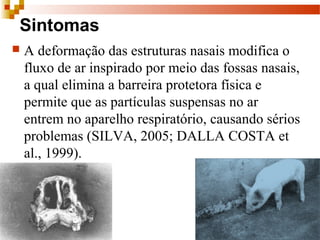Sintomas
 A deformação das estruturas nasais modifica o
fluxo de ar inspirado por meio das fossas nasais,
a qual elimina a barreira protetora física e
permite que as partículas suspensas no ar
entrem no aparelho respiratório, causando sérios
problemas (SILVA, 2005; DALLA COSTA et
al., 1999).
 
