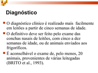 Diagnóstico
 O diagnóstico clínico é realizado mais facilmente
em leitões a partir de cinco semanas de idade.
 O definitivo deve ser feito pelo exame das
conchas nasais de leitões, com cinco a dez
semanas de idade, ou de animais enviados aos
frigoríficos.
 É aconselhável o exame de, pelo menos, 20
animais, provenientes de várias leitegadas
(BRITO et al., 1993).
 