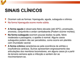 SINAIS CLÍNICOS
 Ocorrem sob as formas: hiperaguda, aguda, subaguda e crônica.
 Na forma hiperaguda ocorre morte súbita.
 A forma aguda é observada febre elevada (até 42ºC), prostração,
anorexia, conjuntivite e andar cambaleante.(Podem ocorrer mortes).
 Na forma subaguda ocorrem poucas lesões na pele, febre
moderada e passageira, o apetite é normal. Alguns casos
subagudos podem não ser percebidos, como ocorre em plantéis
com imunidade vacinal.
 A forma crônica caracteriza-se pela ocorrência de artrites e
insuficiência cardíaca. Suínos apresentam engrossamento das
articulações dos membros locomotores, em alguns casos já a partir
da terceira semana após a infecção e sentem dor ao
movimentarem-se.
 