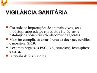 VIGILÂNCIA SANITÁRIA
 Controle de importações de animais vivos, seus
produtos, subprodutos e produtos biológicos e
patológicos possíveis veiculadores dos agentes.
 Mantém e amplia as zonas livres de doenças, certifica
e monitora GRSC
 2 exames negativos PSC, DA, brucelose, leptospirose
e sarna.
 Intervalo de 2 a 3 meses.
 