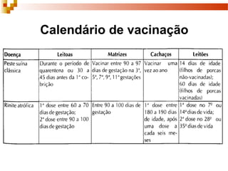 Calendário de vacinação
 