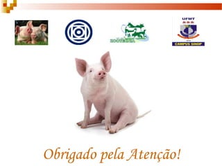 Obrigado pela Atenção!
 