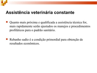 Assistência veterinária constante
 Quanto mais próxima e qualificada a assistência técnica for, 
mais rapidamente serão ajustados os manejos e procedimentos 
profiláticos para o padrão sanitário.
 Rebanho sadio é a condição primordial para obtenção de 
resultados econômicos.
 