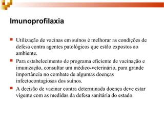 Imunoprofilaxia
 Utilização de vacinas em suínos é melhorar as condições de 
defesa contra agentes patológicos que estão expostos ao 
ambiente.
 Para estabelecimento de programa eficiente de vacinação e 
imunização, consultar um médico-veterinário, para grande 
importância no combate de algumas doenças 
infectocontagiosas dos suínos. 
 A decisão de vacinar contra determinada doença deve estar 
vigente com as medidas da defesa sanitária do estado.
 