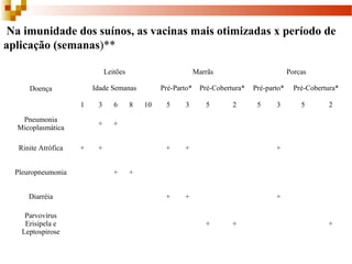  Na imunidade dos suínos, as vacinas mais otimizadas x período de
aplicação (semanas)**
Doença
Leitões Marrãs Porcas
Idade Semanas Pré-Parto* Pré-Cobertura* Pré-parto* Pré-Cobertura*
1 3 6 8 10 5 3 5 2 5 3 5 2
Pneumonia 
Micoplasmática
+ +
Rinite Atrófica + + + + +
Pleuropneumonia + +
Diarréia + + +
Parvovírus 
Erisipela e 
Leptospirose
+ + +
 