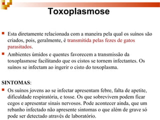 Toxoplasmose
 Esta diretamente relacionada com a maneira pela qual os suínos são 
criados, pois, geralmente, é transmitida pelas fezes de gatos 
parasitados. 
 Ambientes úmidos e quentes favorecem a transmissão da 
toxoplasmose facilitando que os cistos se tornem infectantes. Os 
suínos se infectam ao ingerir o cisto do toxoplasma.  
SINTOMAS:
 Os suínos jovens ao se infectar apresentam febre, falta de apetite, 
dificuldade respiratória, e tosse. Os que sobrevivem podem ficar 
cegos e apresentar sinais nervosos. Pode acontecer ainda, que um 
rebanho infectado não apresente sintomas o que além de grave só 
pode ser detectado através de laboratório. 
 