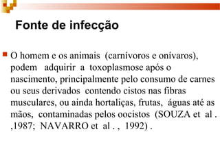 Fonte de infecção
 O homem e os animais  (carnívoros e onívaros),  
podem   adquirir  a  toxoplasmose após o 
nascimento, principalmente pelo consumo de carnes 
ou seus derivados  contendo cistos nas fibras 
musculares, ou ainda hortaliças, frutas,  águas até as 
mãos,  contaminadas pelos oocistos  (SOUZA et  al . 
,1987;  NAVARRO et  al . ,  1992) .
 