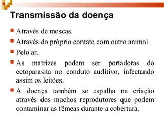 Transmissão da doença
 Através de moscas.
 Através do próprio contato com outro animal.
 Pelo ar.
 As matrizes podem ser portadoras do
ectoparasita no conduto auditivo, infectando
assim os leitões.
 A doença também se espalha na criação
através dos machos reprodutores que podem
contaminar as fêmeas durante a cobertura.
 
