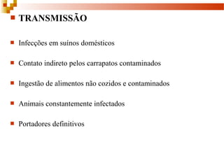  TRANSMISSÃO
 Infecções em suínos domésticos
 Contato indireto pelos carrapatos contaminados
 Ingestão de alimentos não cozidos e contaminados
 Animais constantemente infectados
 Portadores definitivos
 