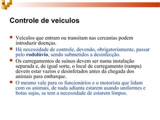 Controle de veículos
 Veículos que entram ou transitam nas cercanias podem 
introduzir doenças. 
 Há necessidade de controle, devendo, obrigatoriamente, passar 
pelo rodolúvio, sendo submetidos a desinfecção.
 Os carregamentos de suínos devem ser numa instalação 
separada e, de igual sorte, o local de carregamento (rampa) 
devem estar vazios e desinfetados antes da chegada dos 
animais para embarque.
 O mesmo vale para os funcionários e o motorista que lidam 
com os animais, de nada adianta estarem usando uniformes e 
botas sujas, se tem a necessidade de estarem limpos.
 