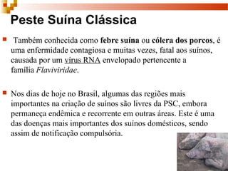 Peste Suína Clássica
 Também conhecida como febre suína ou cólera dos porcos, é
uma enfermidade contagiosa e muitas vezes, fatal aos suínos,
causada por um vírus RNA envelopado pertencente a
família Flaviviridae.
 Nos dias de hoje no Brasil, algumas das regiões mais
importantes na criação de suínos são livres da PSC, embora
permaneça endêmica e recorrente em outras áreas. Este é uma
das doenças mais importantes dos suínos domésticos, sendo
assim de notificação compulsória.
 