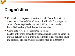 Diagnóstico
 O método de diagnóstico mais utilizado é o isolamento do
vírus em cultivo celular. O material utilizado é o sangue, ou
suspensão de órgãos do sistema linfóide, como tonsilas,
baço, linfonodos, glândulas parótidas e rins.
 Como este vírus não é citopatogênico, são
usados anticorpos específicos para a identificação do vírus em
cultivo celular. Esta é uma técnica muito lenta, podendo levar
até sete dias após submissão das amostras ao laboratório.
 