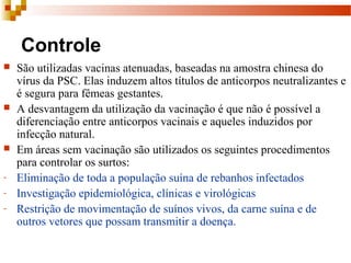Controle
 São utilizadas vacinas atenuadas, baseadas na amostra chinesa do
vírus da PSC. Elas induzem altos títulos de anticorpos neutralizantes e
é segura para fêmeas gestantes.
 A desvantagem da utilização da vacinação é que não é possível a
diferenciação entre anticorpos vacinais e aqueles induzidos por
infecção natural.
 Em áreas sem vacinação são utilizados os seguintes procedimentos
para controlar os surtos:
- Eliminação de toda a população suína de rebanhos infectados
- Investigação epidemiológica, clínicas e virológicas
- Restrição de movimentação de suínos vivos, da carne suína e de
outros vetores que possam transmitir a doença.
 