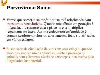 Parvovirose Suína
 Virose que somente na espécie suína está relacionada com
transtornos reprodutivos. Quando uma fêmea em gestação é
infectada, o vírus atravessa a placenta e se multiplica
lentamente no útero. Assim sendo, nesta enfermidade é
comum se observar além do abortamento, fetos mumificados
em vários estágios.
 Suspeita-se da circulação do vírus em uma criação, quando
além dos sinais clínicos descritos, existe a presença de
animais com diferentes níveis de anticorpos, detectados pelo
diagnóstico laboratorial.
 
