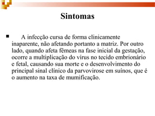 Sintomas
 A infecção cursa de forma clinicamente
inaparente, não afetando portanto a matriz. Por outro
lado, quando afeta fêmeas na fase inicial da gestação,
ocorre a multiplicação do vírus no tecido embrionário
e fetal, causando sua morte e o desenvolvimento do
principal sinal clínico da parvovirose em suínos, que é
o aumento na taxa de mumificação.
 