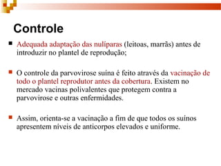 Controle
 Adequada adaptação das nulíparas (leitoas, marrãs) antes de
introduzir no plantel de reprodução;
 O controle da parvovirose suína é feito através da vacinação de
todo o plantel reprodutor antes da cobertura. Existem no
mercado vacinas polivalentes que protegem contra a
parvovirose e outras enfermidades.
 Assim, orienta-se a vacinação a fim de que todos os suínos
apresentem níveis de anticorpos elevados e uniforme.
 