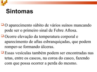Sintomas
 O aparecimento súbito de vários suínos mancando
pode ser o primeiro sinal de Febre Aftosa.
 Ocorre elevação da temperatura corporal e
aparecimento de aftas esbranquiçadas, que podem
romper-se formando úlceras.
 Essas vesículas também podem ser encontradas nas
tetas, entre os cascos, na coroa do casco, fazendo
com que possa ocorrer a perda do mesmo.
 
