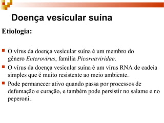 Doença vesícular suína
Etiologia:
 O vírus da doença vesicular suína é um membro do
gênero Enterovirus, família Picornaviridae.
 O vírus da doença vesicular suína é um vírus RNA de cadeia
simples que é muito resistente ao meio ambiente.
 Pode permanecer ativo quando passa por processos de
defumação e curação, e também pode persistir no salame e no
peperoni.
 