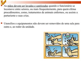  As mãos devem ser lavadas e sanitizadas quando o funcionário se 
locomove entre setores, ou mais frequentemente, para quem efetua 
procedimentos, como, tratamentos de animais enfermos, ou assiste a 
parturiente e suas crias.
 Utensílios e equipamentos não devem ser removidos de uma sala para 
outra e, ao redor da unidade.
 