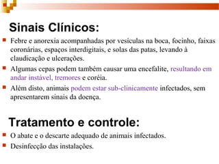 Sinais Clínicos:
 Febre e anorexia acompanhadas por vesículas na boca, focinho, faixas
coronárias, espaços interdigitais, e solas das patas, levando à
claudicação e ulcerações.
 Algumas cepas podem também causar uma encefalite, resultando em
andar instável, tremores e coréia.
 Além disto, animais podem estar sub-clinicamente infectados, sem
apresentarem sinais da doença.
Tratamento e controle:
 O abate e o descarte adequado de animais infectados.
 Desinfecção das instalações.
 