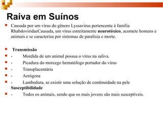 Raíva em Suínos
 Causada por um vírus do gênero Lyssavirus pertencente à família
RhabdoviridaeCausada, um vírus estreitamente neurotóxico, acomete homens e
animais e se caracteriza por sintomas de paralisia e morte.
 Transmissão
 - Mordida de um animal possua o vírus na saliva.
 - Picadura do morcego hematófogo portador do vírus
 - Transplacentária
 - Aerógena
 - Lambedura, se existir uma solução de continuidade na pele
Susceptibilidade
 - Todos os animais, sendo que os mais jovens são mais susceptíveis.
 