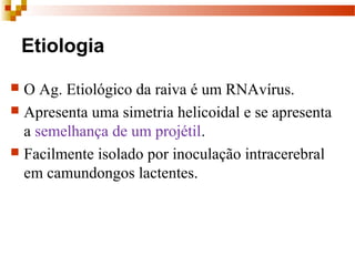 Etiologia
 O Ag. Etiológico da raiva é um RNAvírus. 
 Apresenta uma simetria helicoidal e se apresenta 
a semelhança de um projétil. 
 Facilmente isolado por inoculação intracerebral 
em camundongos lactentes.
 