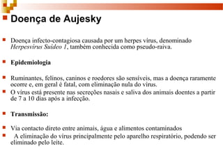  Doença de Aujesky
 Doença infecto-contagiosa causada por um herpes vírus, denominado 
Herpesvírus Suídeo 1, também conhecida como pseudo-raiva. 
 Epidemiologia 
 Ruminantes, felinos, caninos e roedores são sensíveis, mas a doença raramente 
ocorre e, em geral é fatal, com eliminação nula do vírus.  
 O vírus está presente nas secreções nasais e saliva dos animais doentes a partir 
de 7 a 10 dias após a infecção. 
 Transmissão:
 Via contacto direto entre animais, água e alimentos contaminados
   A eliminação do vírus principalmente pelo aparelho respiratório, podendo ser 
eliminado pelo leite.  
 