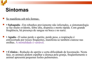 Sintomas
 Se manifesta sob três formas: 
 • Subaguda - Em rebanhos previamente não infectados, a sintomatologia 
se faz muito evidente, febre alta, dispnéia e morte rápida. Com grande 
freqüência, há presença de sangue na boca e no nariz. 
 • Aguda - O suíno perde o apetite, perde peso, a respiração é 
entrecortada por tosses freqüentes, manifesta-se também cianose nas 
orelhas. A mortalidade é variável. 
 • Crônica - Redução do apetite e certa dificuldade de locomoção. Nesta 
fase, os animais podem espalhar a doença pela granja, freqüentemente o 
animal apresenta pequenas lesões pulmonares. 
 