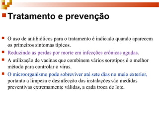 Tratamento e prevenção
 O uso de antibióticos para o tratamento é indicado quando aparecem 
os primeiros sintomas típicos.
 Reduzindo as perdas por morte em infecções crônicas agudas. 
 A utilização de vacinas que combinem vários sorotipos é o melhor 
método para controlar o vírus. 
 O microorganismo pode sobreviver até sete dias no meio exterior, 
portanto a limpeza e desinfecção das instalações são medidas 
preventivas extremamente válidas, a cada troca de lote.
 