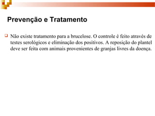   Prevenção e Tratamento
 Não existe tratamento para a brucelose. O controle é feito através de 
testes serológicos e eliminação dos positivos. A reposição do plantel 
deve ser feita com animais provenientes de granjas livres da doença. 
 