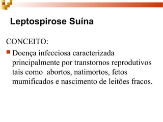 Leptospirose Suína
CONCEITO:
 Doença infecciosa caracterizada 
principalmente por transtornos reprodutivos 
tais como  abortos, natimortos, fetos 
mumificados e nascimento de leitões fracos. 
 