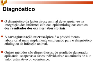 Diagnóstico
 O diagnóstico da leptospirose animal deve apoiar-se na 
integração dos informes clínicos-epidemiológicos com os 
dos resultados dos exames laboratoriais. 
 A soroaglutinação microscópica é o procedimento 
laboratorial mais amplamente empregado para o diagnóstico 
etiológico da infecção animal. 
 Outros métodos são dispendiosos, de resultado demorado, 
aplicando-se apenas a casos individuais e ou animais de alto 
valor estimativo ou econômico.
 