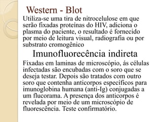 Western - Blot 
Utiliza-se uma tira de nitrocelulose em que serão fixadas proteínas do HIV, adiciona o plasma do paciente, o resultado é fornecido por meio de leitura visual, radiografia ou por substrato cromogênico 
Imunofluorecência indireta 
Fixadas em laminas de microscópio, ás células infectadas são encubadas com o soro que se deseja testar. Depois são tratados com outro soro que contenha anticorpos específicos para imunoglobina humana (anti-Ig) conjugadas a um flucorama. A presença dos anticorpos é revelada por meio de um microscópio de fluorescência. Teste confirmatório. 
 