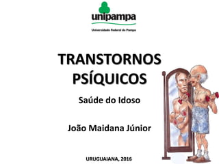 TRANSTORNOS
PSÍQUICOS
Saúde do Idoso
João Maidana Júnior
URUGUAIANA, 2016
 