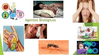 Agentes Biológicos
 