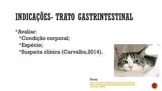 INDICAÇÕES- TRATO GASTRINTESTINAL
Avaliar:
Condição corporal;
Espécie;
Suspeita clínica (Carvalho,2014).
Fonte:
http://fortaleza.tudotemos.com/market/republic
apet_UltrassomparaCaeseGatosnoLagodoJacarei
_Animais_23964
 