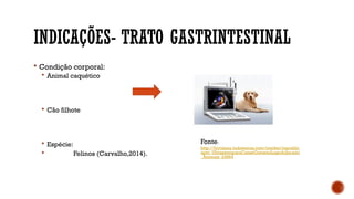 INDICAÇÕES- TRATO GASTRINTESTINAL
 Condição corporal:
 Animal caquético
 Cão filhote
 Espécie:
 Felinos (Carvalho,2014).
Fonte:
http://fortaleza.tudotemos.com/market/republic
apet_UltrassomparaCaeseGatosnoLagodoJacarei
_Animais_23964
 