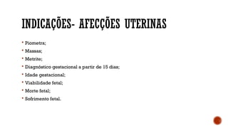 INDICAÇÕES- AFECÇÕES UTERINAS
 Piometra;
 Massas;
 Metrite;
 Diagnóstico gestacional a partir de 15 dias;
 Idade gestacional;
 Viabilidade fetal;
 Morte fetal;
 Sofrimento fetal.
 
