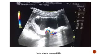 Fonte: arquivo pessoal, 2019.
 