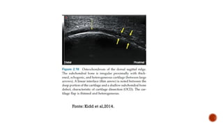 Fonte: Kidd et al,2014.
 