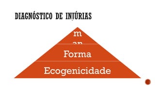 DIAGNÓSTICO DE INJÚRIAS
Ta
m
an
ho
Forma
Ecogenicidade
 