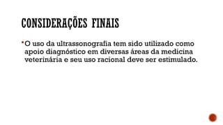 CONSIDERAÇÕES FINAIS
O uso da ultrassonografia tem sido utilizado como
apoio diagnóstico em diversas áreas da medicina
veterinária e seu uso racional deve ser estimulado.
 