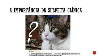 A IMPORTÂNCIA DA SUSPEITA CLÍNICA
Fonte: https
://www.goconqr.com/quiz/11358488/-geografia-percurso-2
 