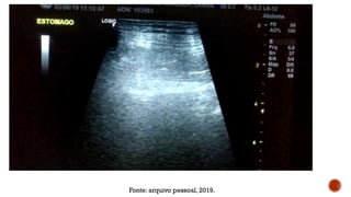 Fonte: arquivo pessoal, 2019.
 