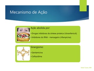 Mecanismo de Ação
Ação abolida por:
• Drogas inibidoras da síntese proteica (cloranfenicol);
• Inibidores do RNA - mensageiro (rifampicina).
Sinergismo:
• Gentamicina
• Ceftazidima
Walter Tavares, 2006.
 